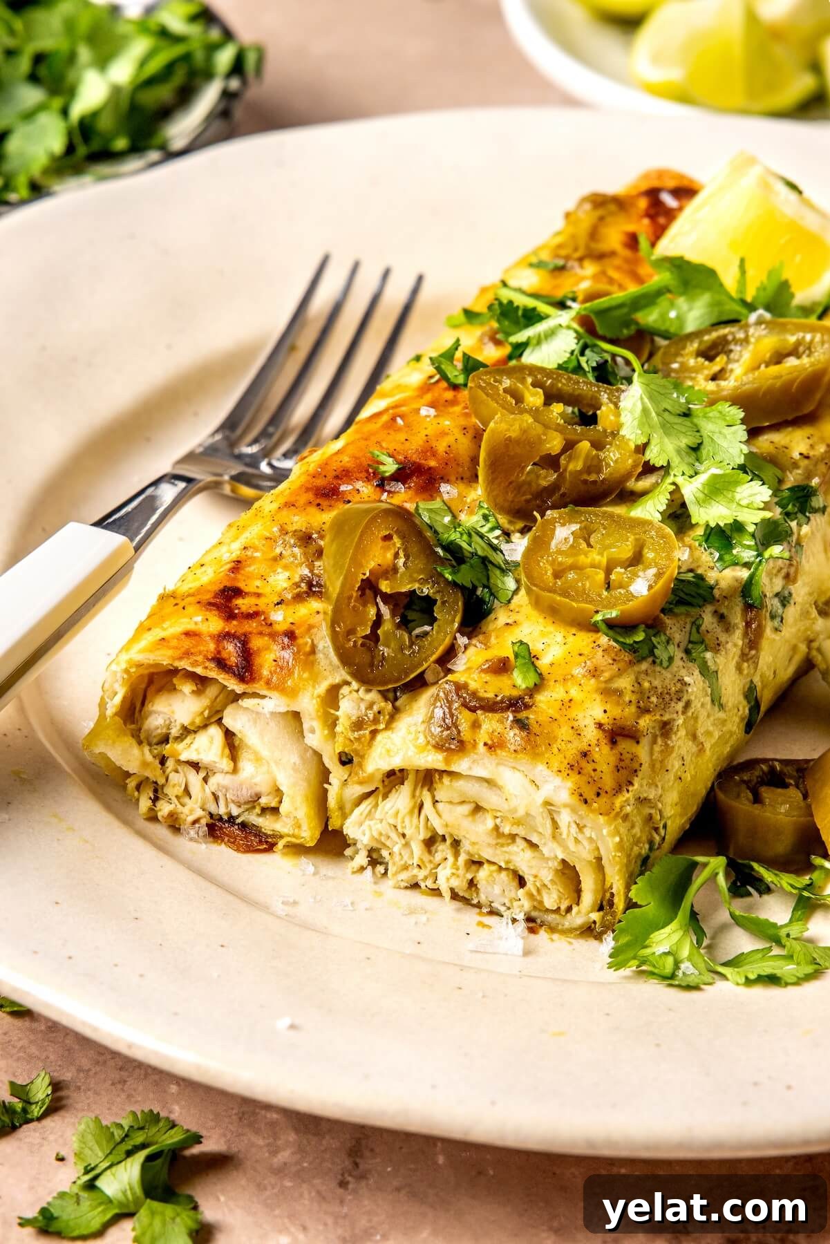 Weeknight Sour Cream Chicken Enchiladas - Olivia Adriance