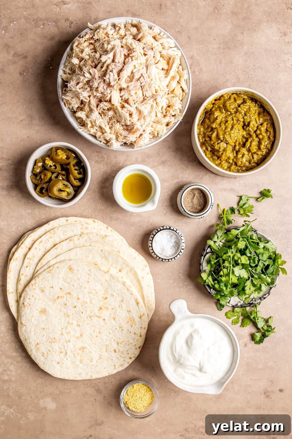 Ingredients for Weeknight Sour Cream Chicken Enchiladas - Olivia Adriance