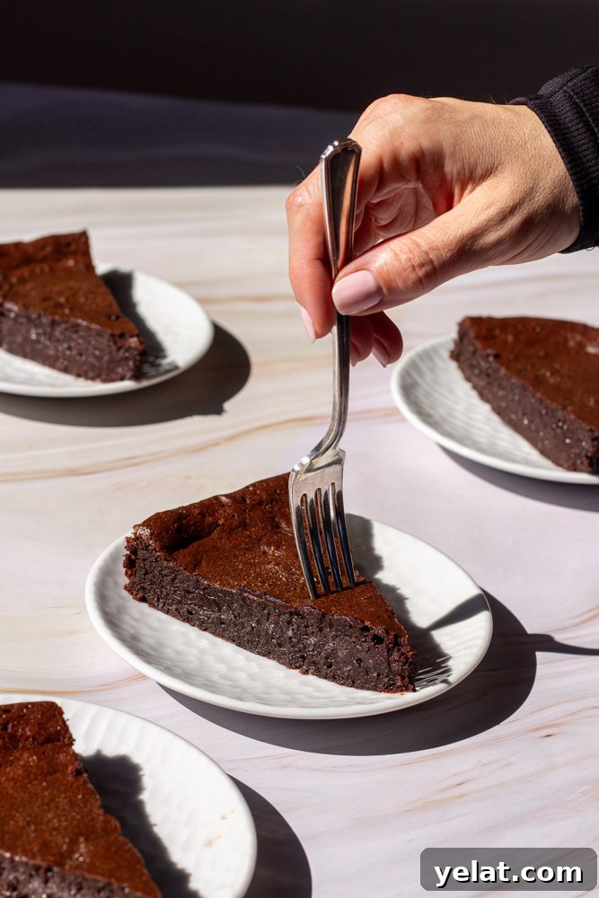 Decadent Flourless Chocolate Cake Recipe for Rich, Fudgy Dessert 2 flourless chocolate torte