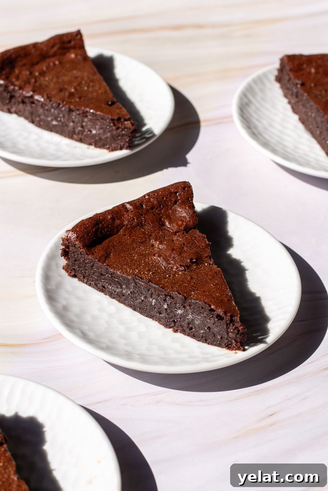 Decadent Flourless Chocolate Cake Recipe for Rich, Fudgy Dessert 11 flourless chocolate torte