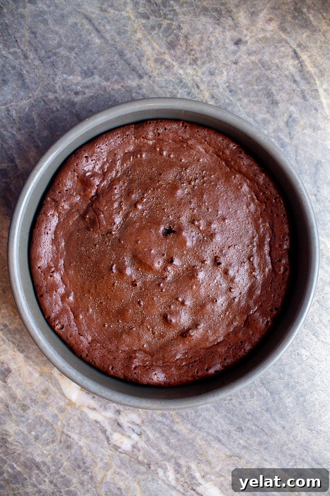 Decadent Flourless Chocolate Cake Recipe for Rich, Fudgy Dessert 4 flourless chocolate torte