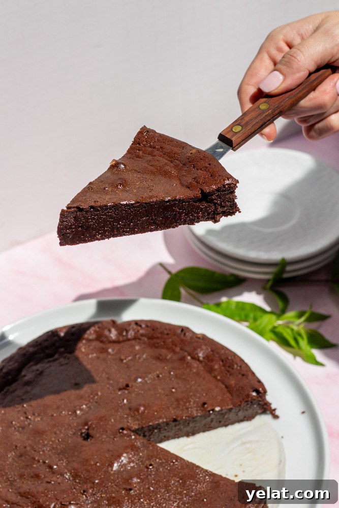 Decadent Flourless Chocolate Cake Recipe for Rich, Fudgy Dessert 5 flourless chocolate torte