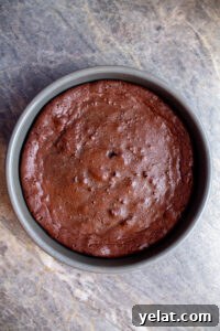 Decadent Flourless Chocolate Cake Recipe for Rich, Fudgy Dessert 10 flourless chocolate torte