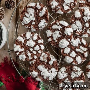 Fudgy Mocha Crinkle Cookies Recipe for Rich Chocolate Coffee Cookies 9 img 7902 8