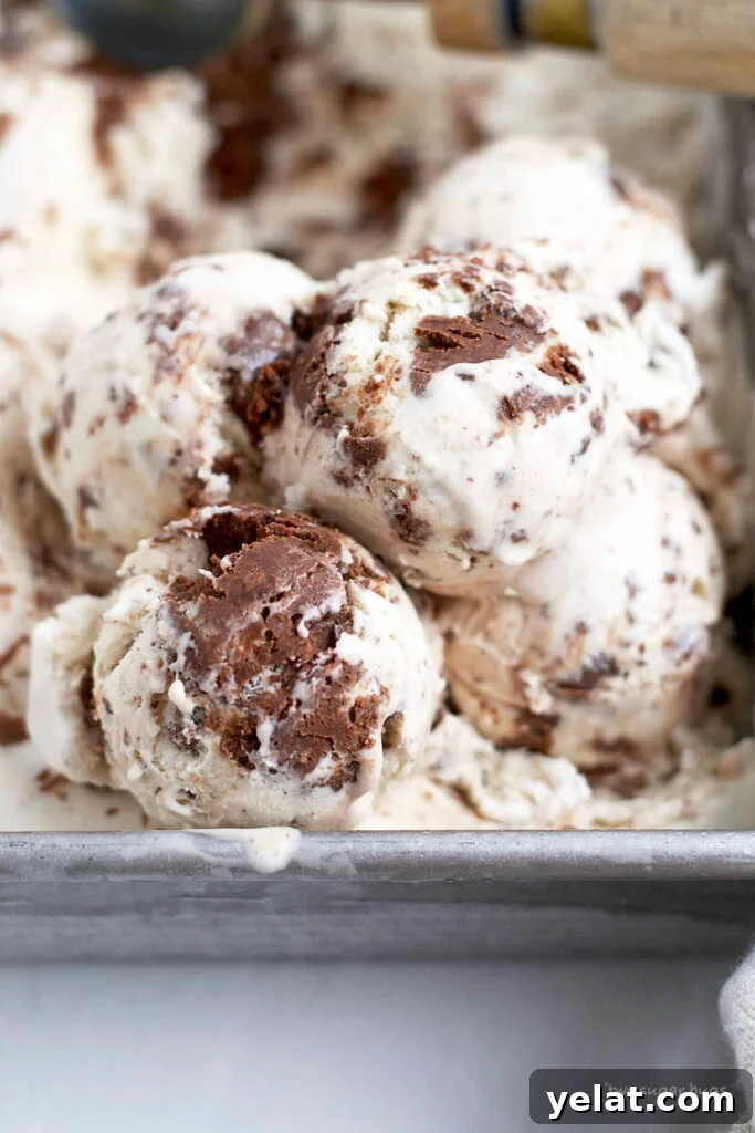 Decadent Brownie Batter Ice Cream Recipe with Fudgy Chunks 2 scoops of brownie batter ice cream