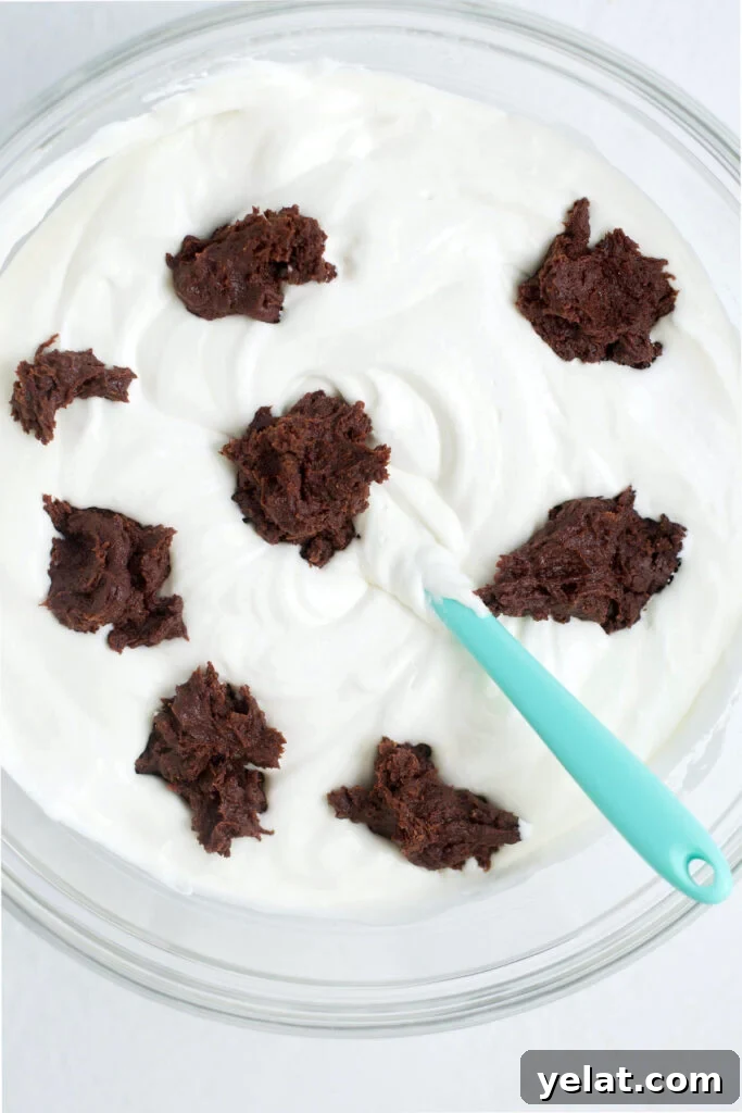 Decadent Brownie Batter Ice Cream Recipe with Fudgy Chunks 11 brownie batter chunks mixed into vanilla ice cream