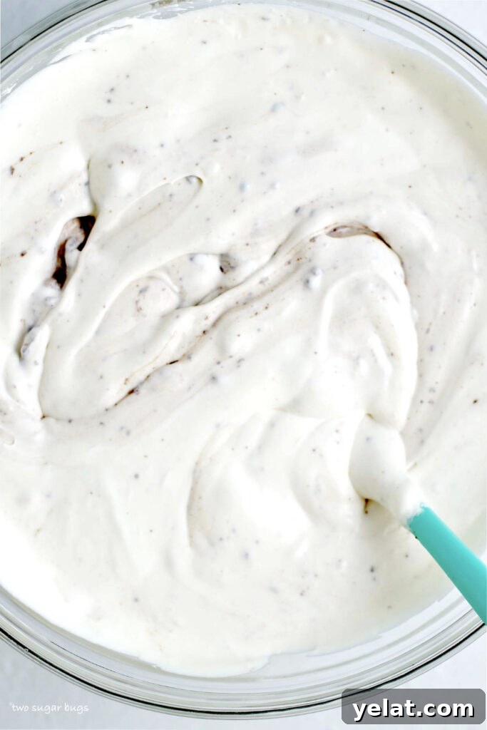 Decadent Brownie Batter Ice Cream Recipe with Fudgy Chunks 12 brownie batter ice cream in a bowl before freezing