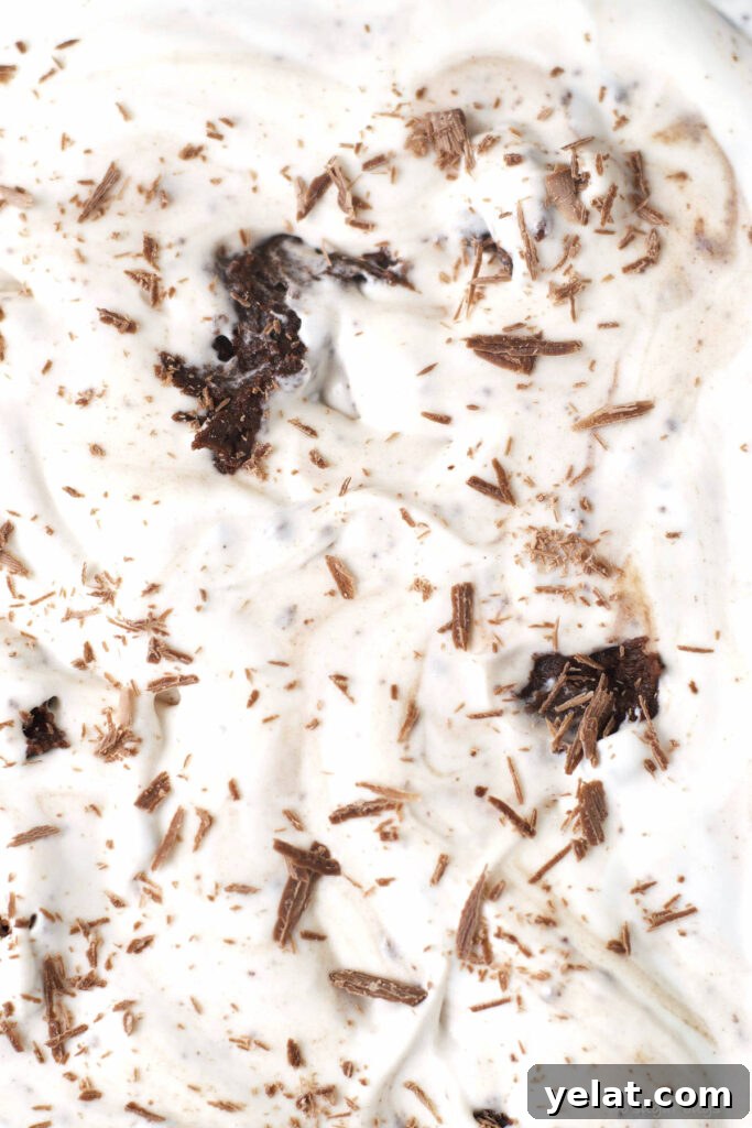 Decadent Brownie Batter Ice Cream Recipe with Fudgy Chunks 13 brownie batter ice cream in a pan for freezing