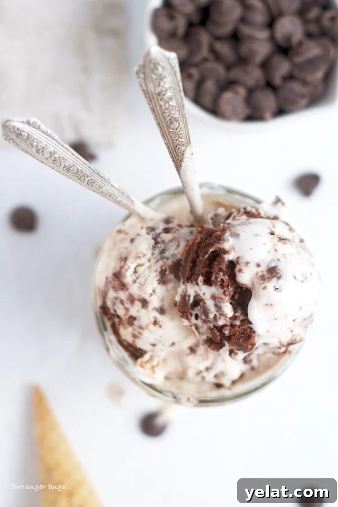 Decadent Brownie Batter Ice Cream Recipe with Fudgy Chunks 14 downward look on a glass of brownie batter ice cream with two spoons