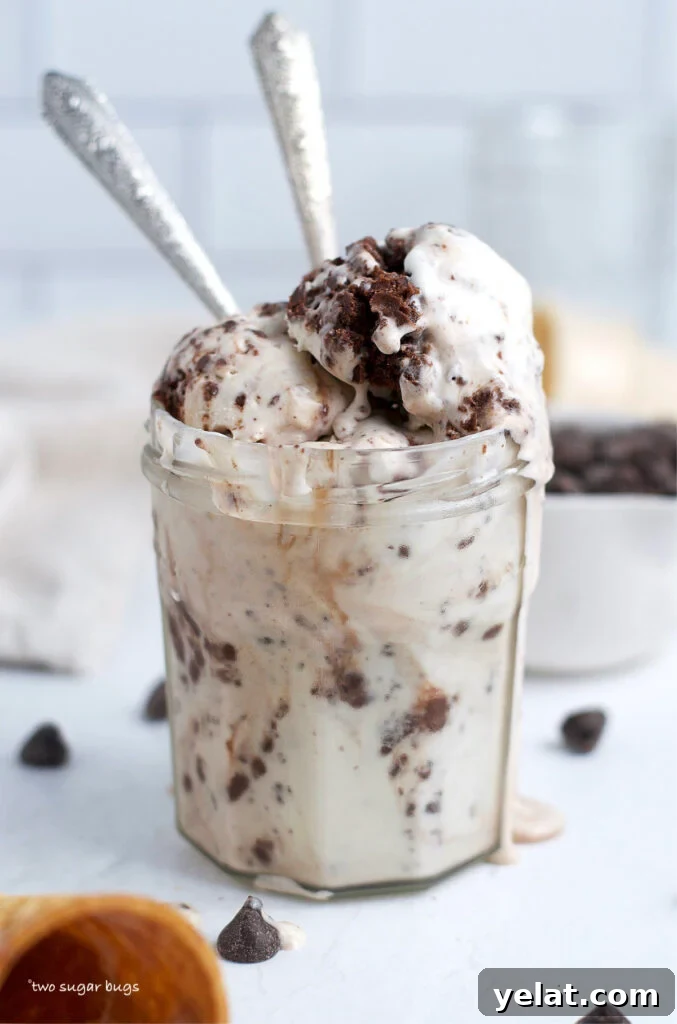 Decadent Brownie Batter Ice Cream Recipe with Fudgy Chunks 15 brownie batter ice cream in a glass jar with two spoons