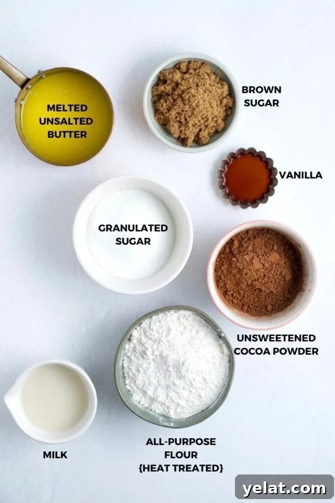 Decadent Brownie Batter Ice Cream Recipe with Fudgy Chunks 4 edible brownie batter ingredients
