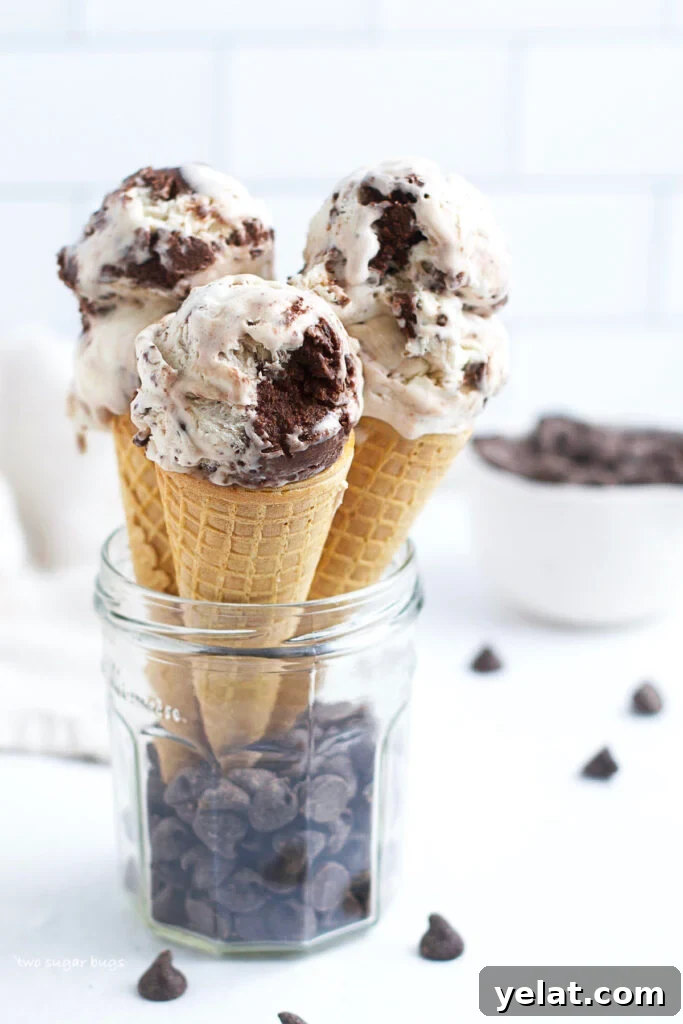 Decadent Brownie Batter Ice Cream Recipe with Fudgy Chunks 5 three ice cream cones in glass jar