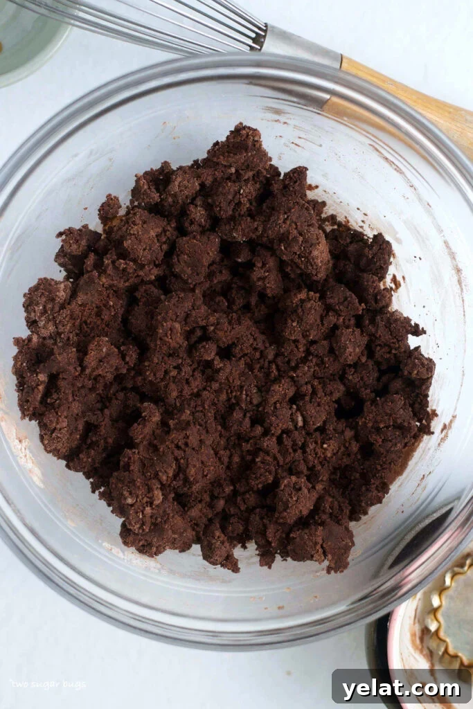 Decadent Brownie Batter Ice Cream Recipe with Fudgy Chunks 8 edible brownie batter before the milk is added
