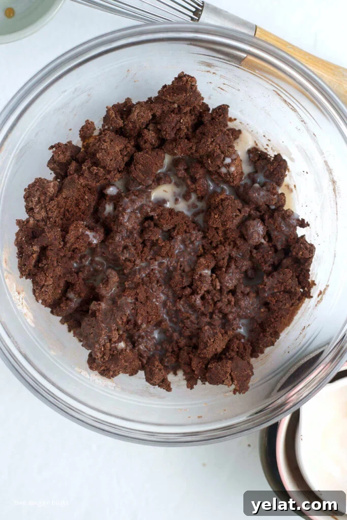 Decadent Brownie Batter Ice Cream Recipe with Fudgy Chunks 9 milk and edible brownie batter in a mixing bowl