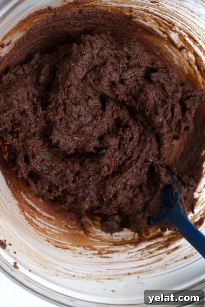 Decadent Brownie Batter Ice Cream Recipe with Fudgy Chunks 10 edible brownie batter mix in a bowl