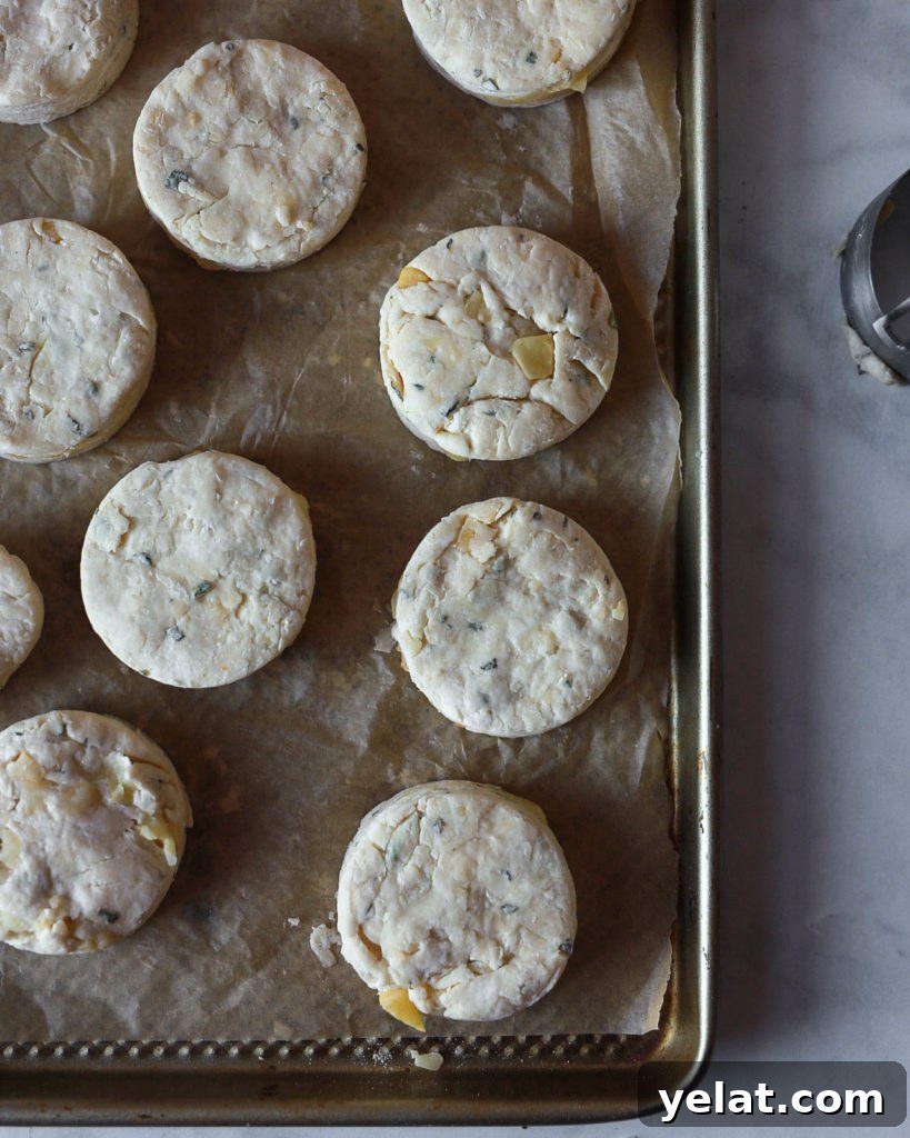Apple, Sage & Gruyère Scones — Savory Autumn Pastry Recipe 3 unbaked scones