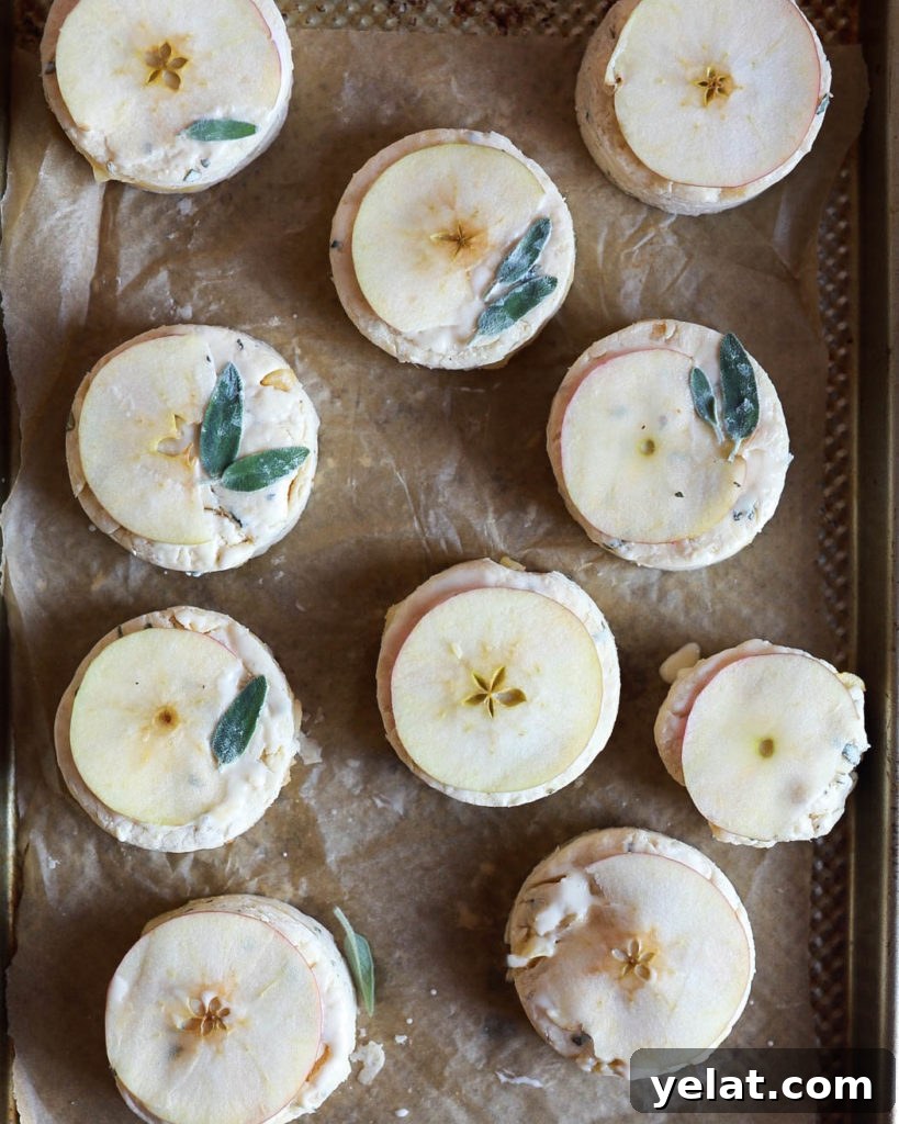 Apple, Sage & Gruyère Scones — Savory Autumn Pastry Recipe 4 unbaked apple sage gruyere scones