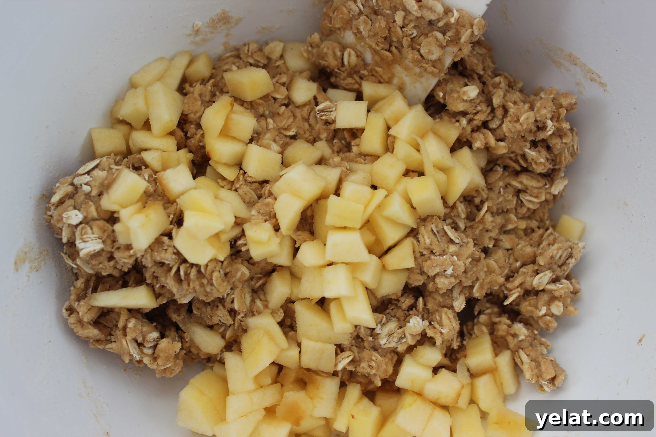 Apple Cinnamon Oat Cookies with Warm Spice and Tender Bites 3 1