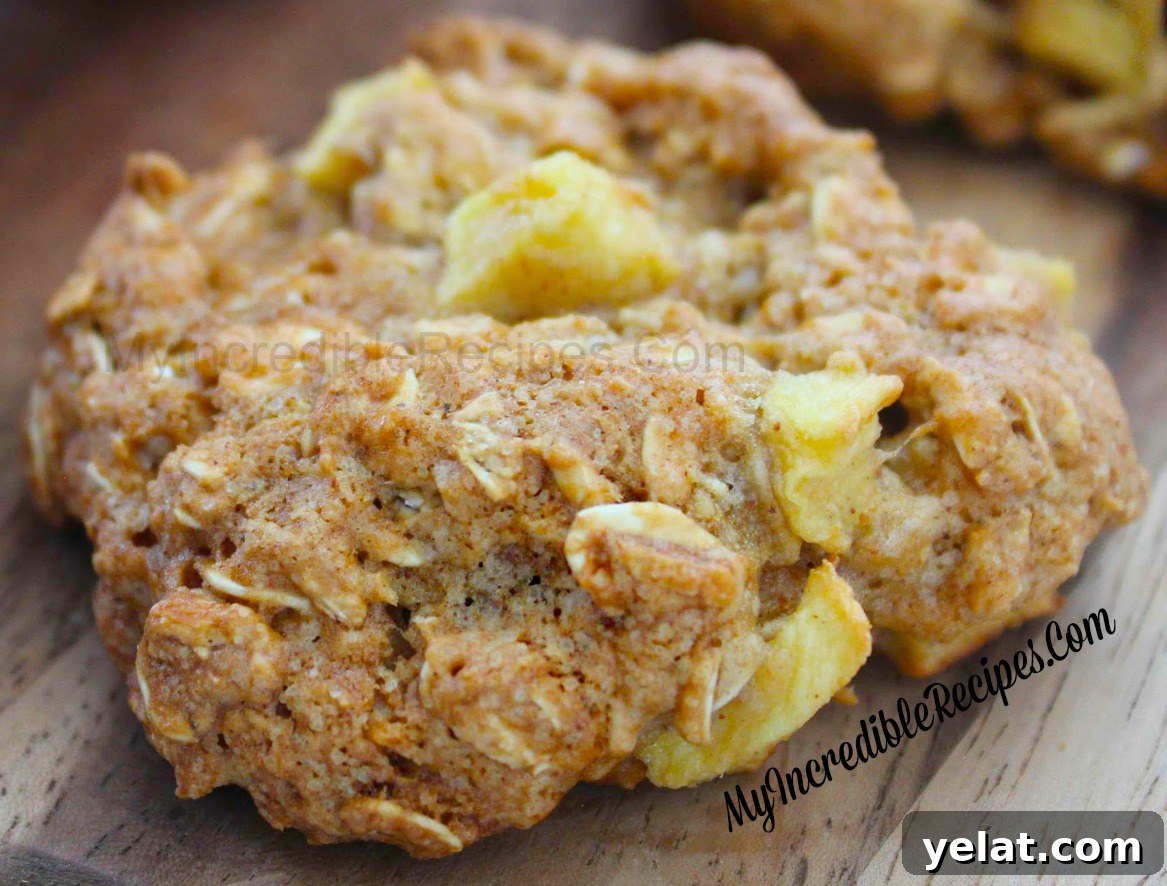 Apple Cinnamon Oat Cookies with Warm Spice and Tender Bites 6 1