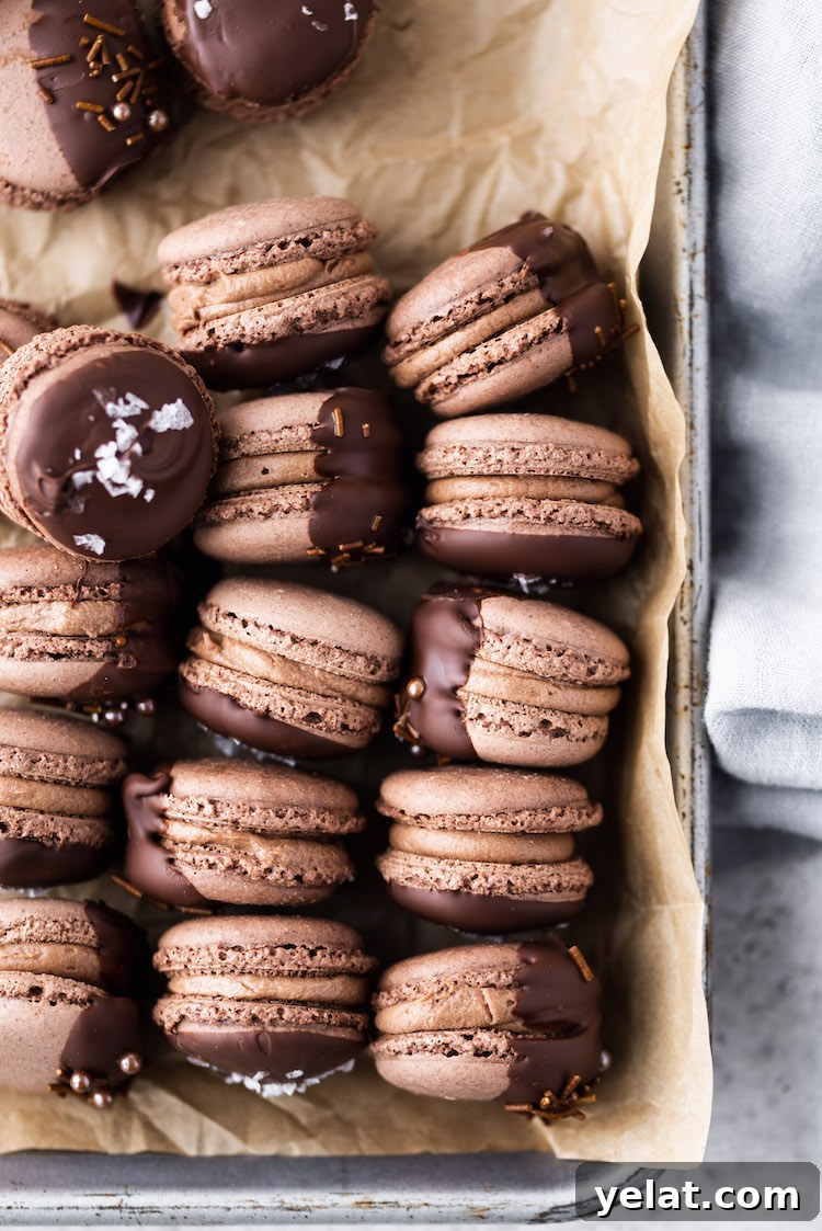 Triple Chocolate Macarons Recipe: Rich, Decadent French Cookies 6 piped macarons resting