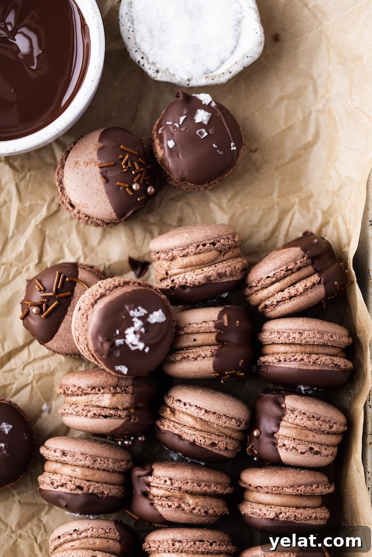 chocolate macarons