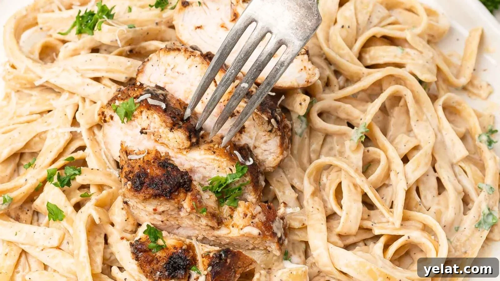 Blackened Chicken Alfredo: Blackened chicken served over pasta in a creamy Alfredo sauce.
