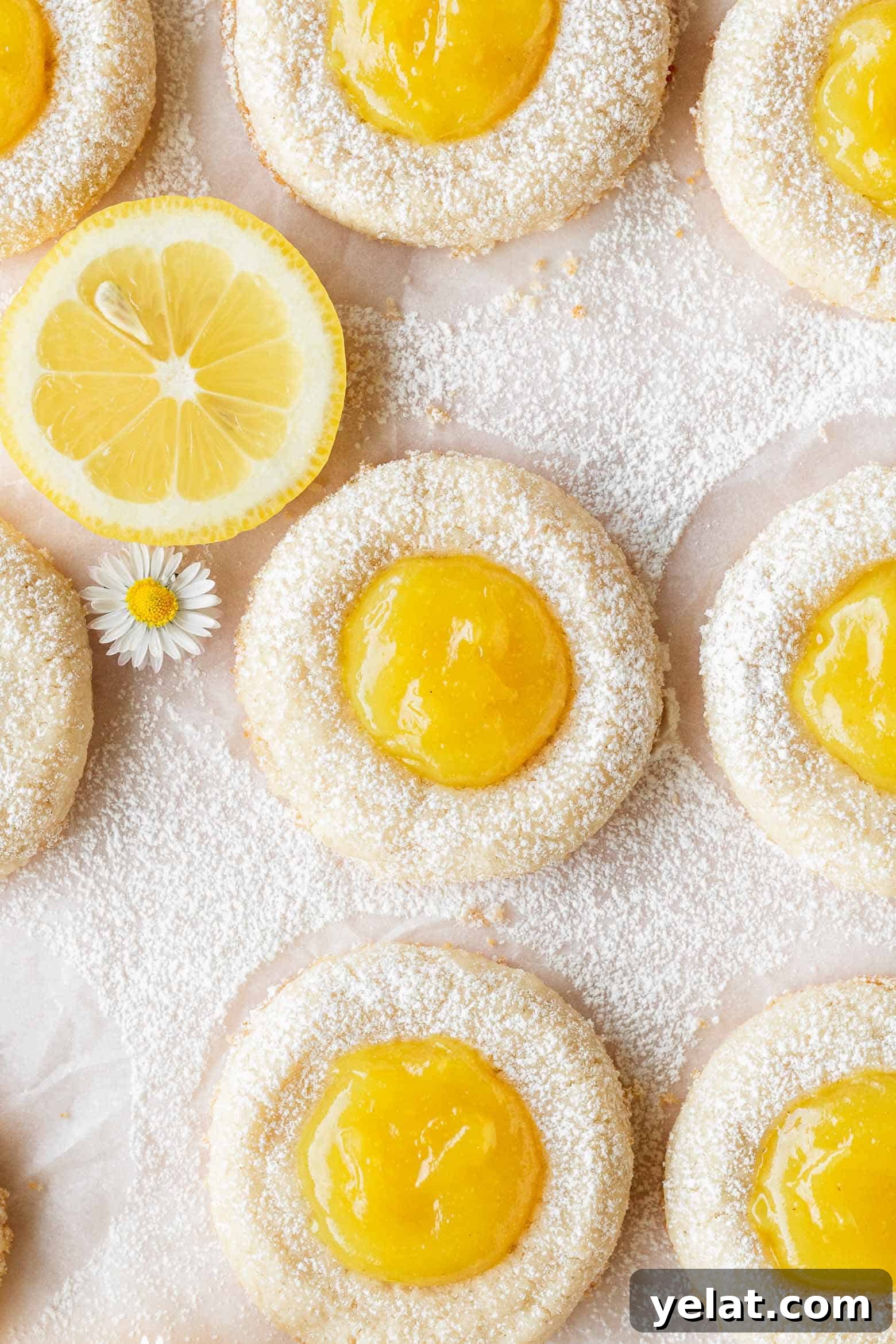 Lemon Curd Thumbprint Cookies — Zesty Homemade Cookie Recipe 2 Overhead shot of lemon curd cookies dusted with powdered sugar.