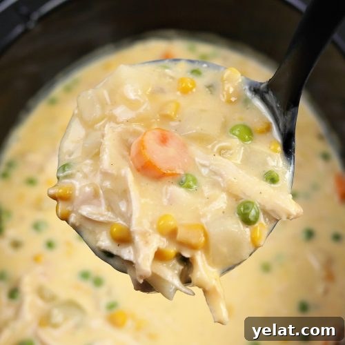 Amish chicken cheese soup