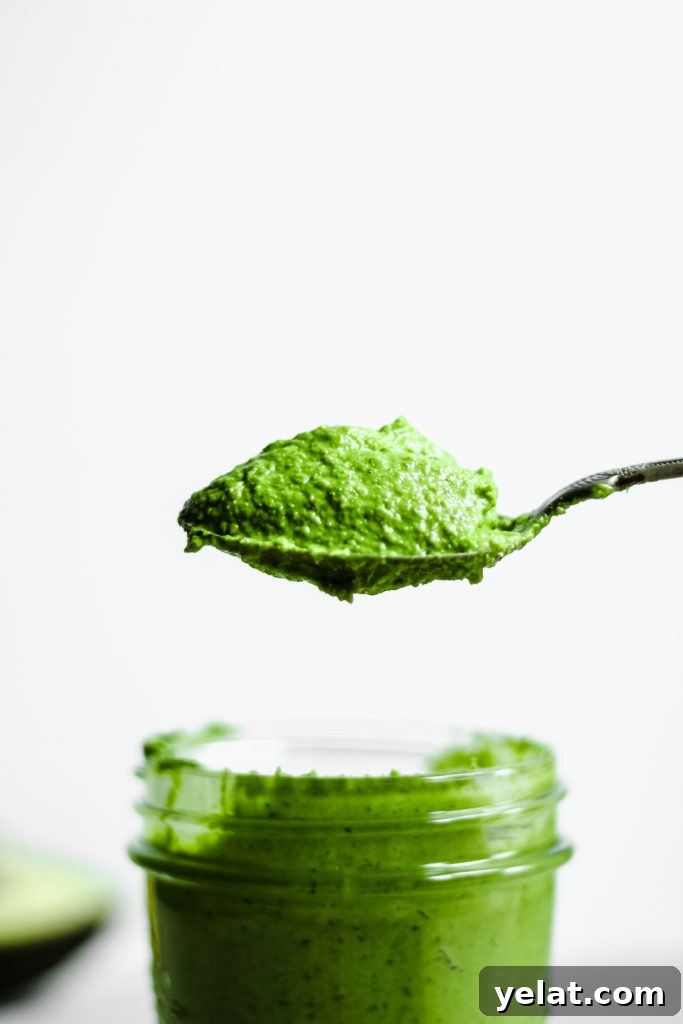 Creamy Kale + Avocado Pesto [Dairy-Free/Vegan]