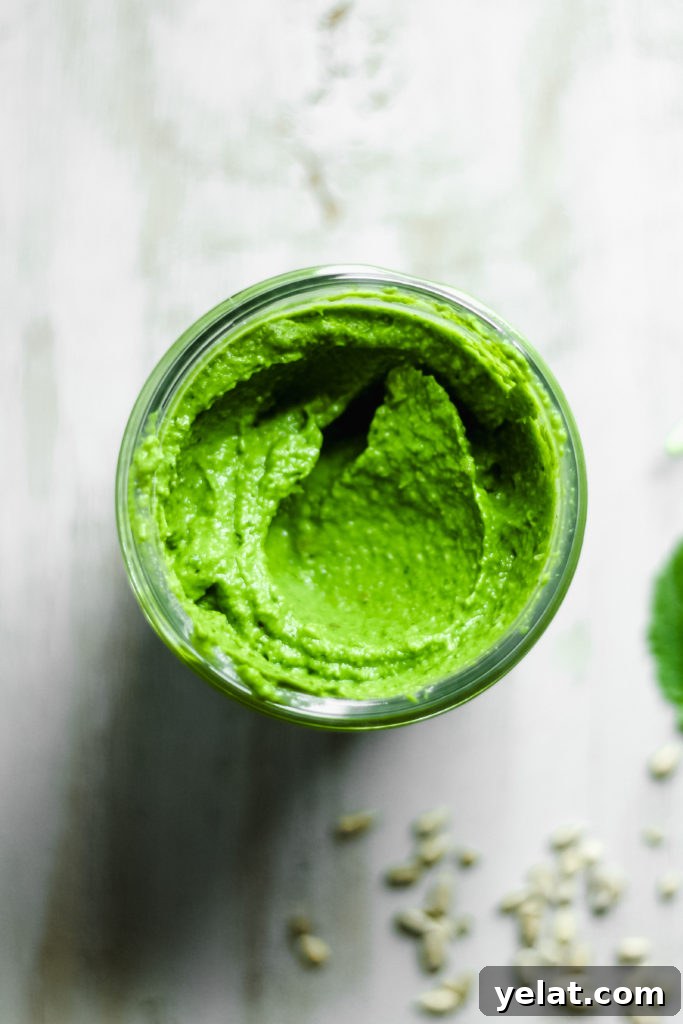 Creamy Kale + Avocado Pesto [Dairy-Free/Vegan]