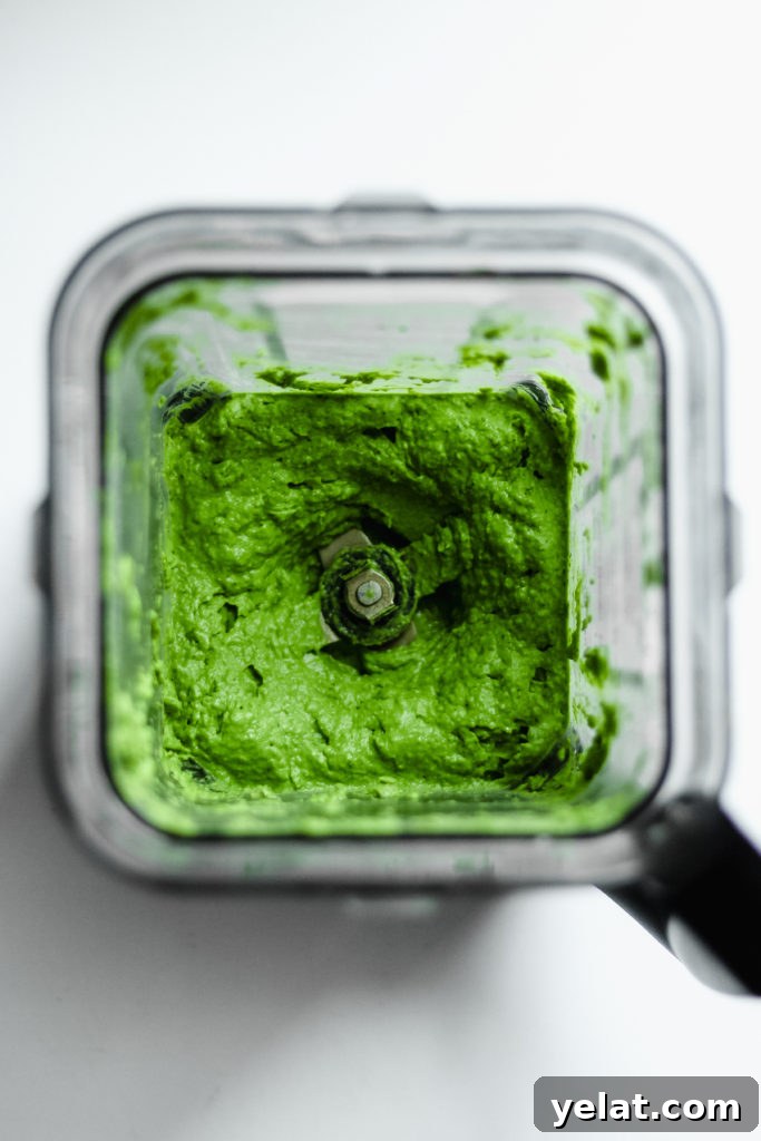 Creamy Kale + Avocado Pesto [Dairy-Free/Vegan]