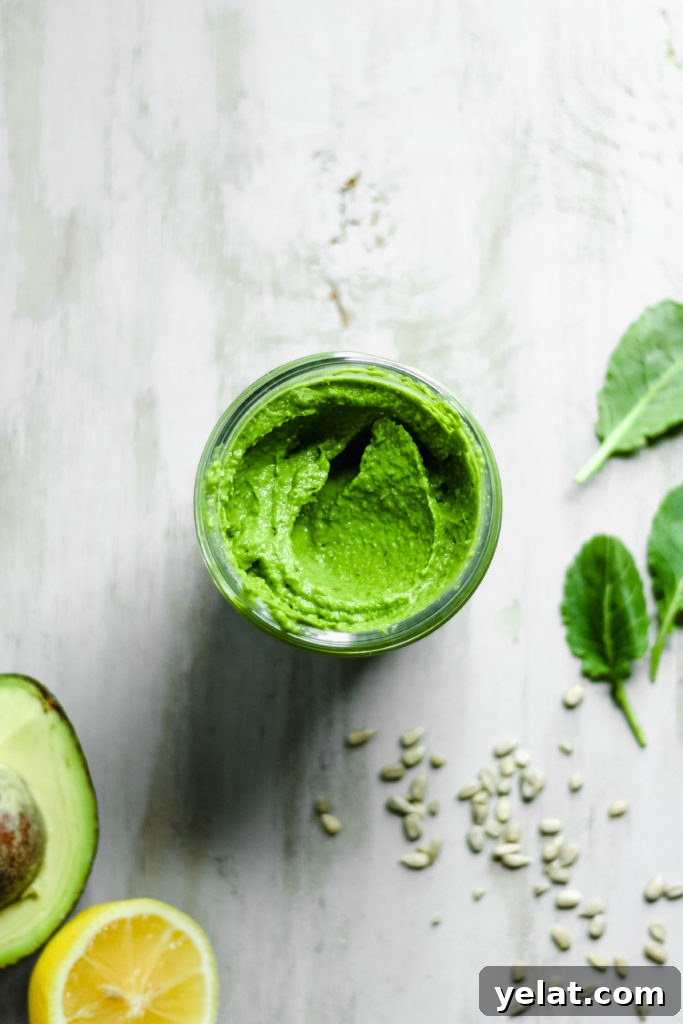 Creamy Kale + Avocado Pesto [Dairy-Free/Vegan]