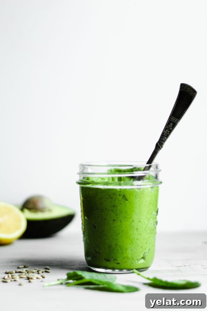 Creamy Kale + Avocado Pesto [Dairy-Free/Vegan]