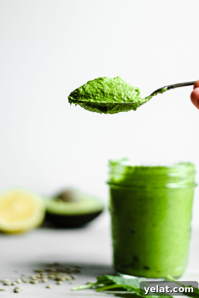 Creamy Kale + Avocado Pesto [Dairy-Free/Vegan]
