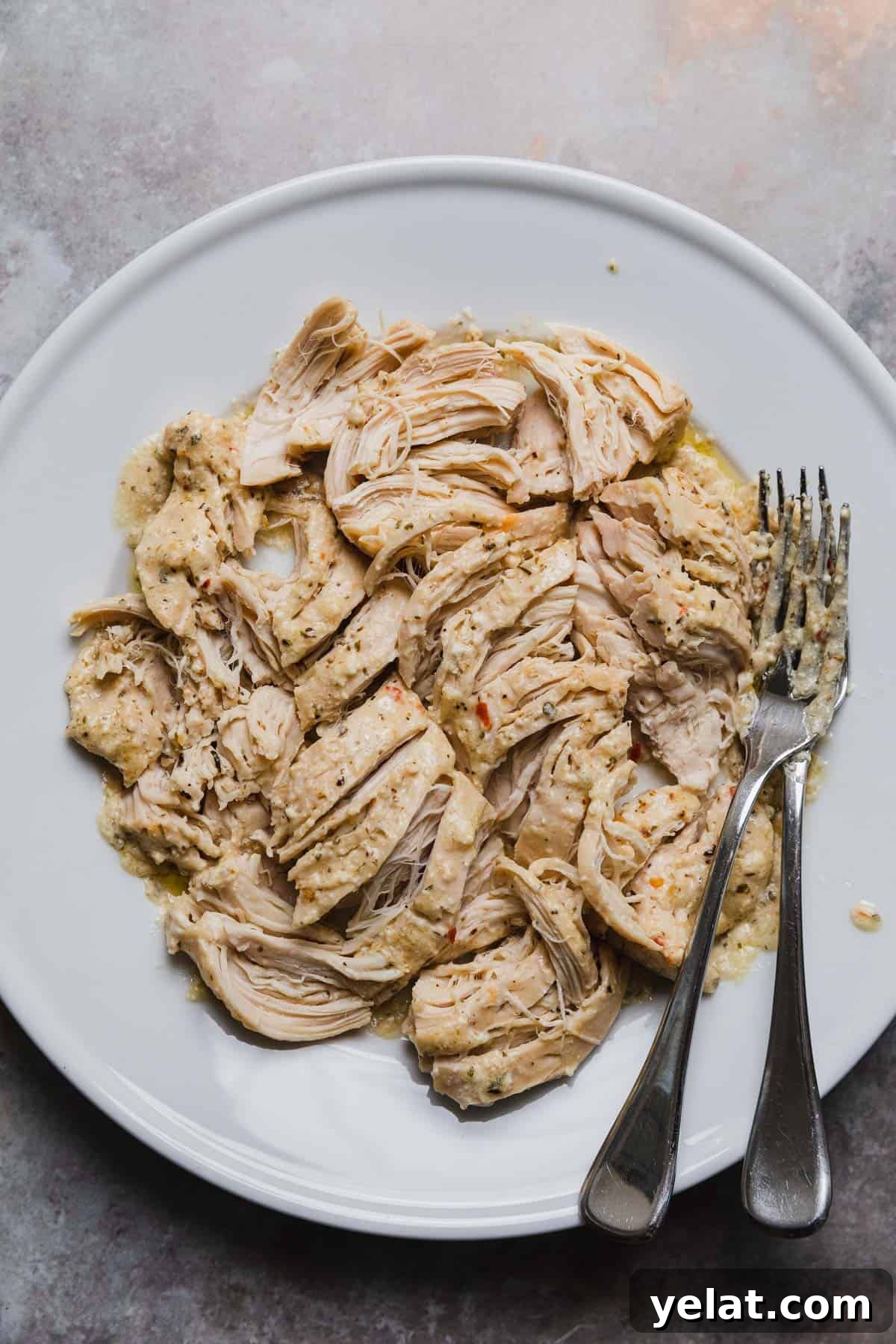 Slow-Cooker Garlic Parmesan Chicken Pasta Recipe 8 shredded cooked chicken on a plate with two forks