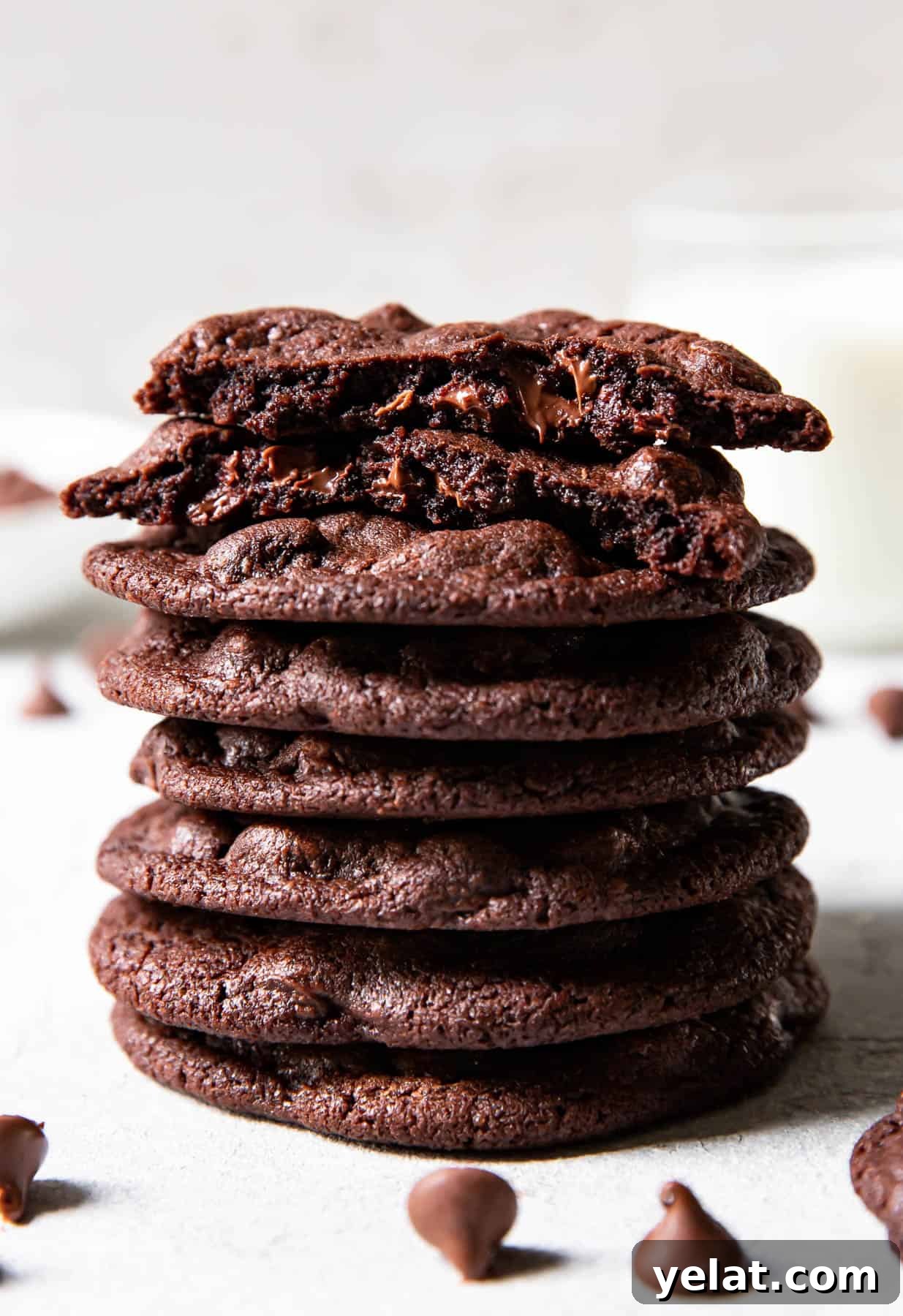 Double Chocolate Cookies: Rich Gooey Chocolate Cookie Recipe 2 chocolate cookies.