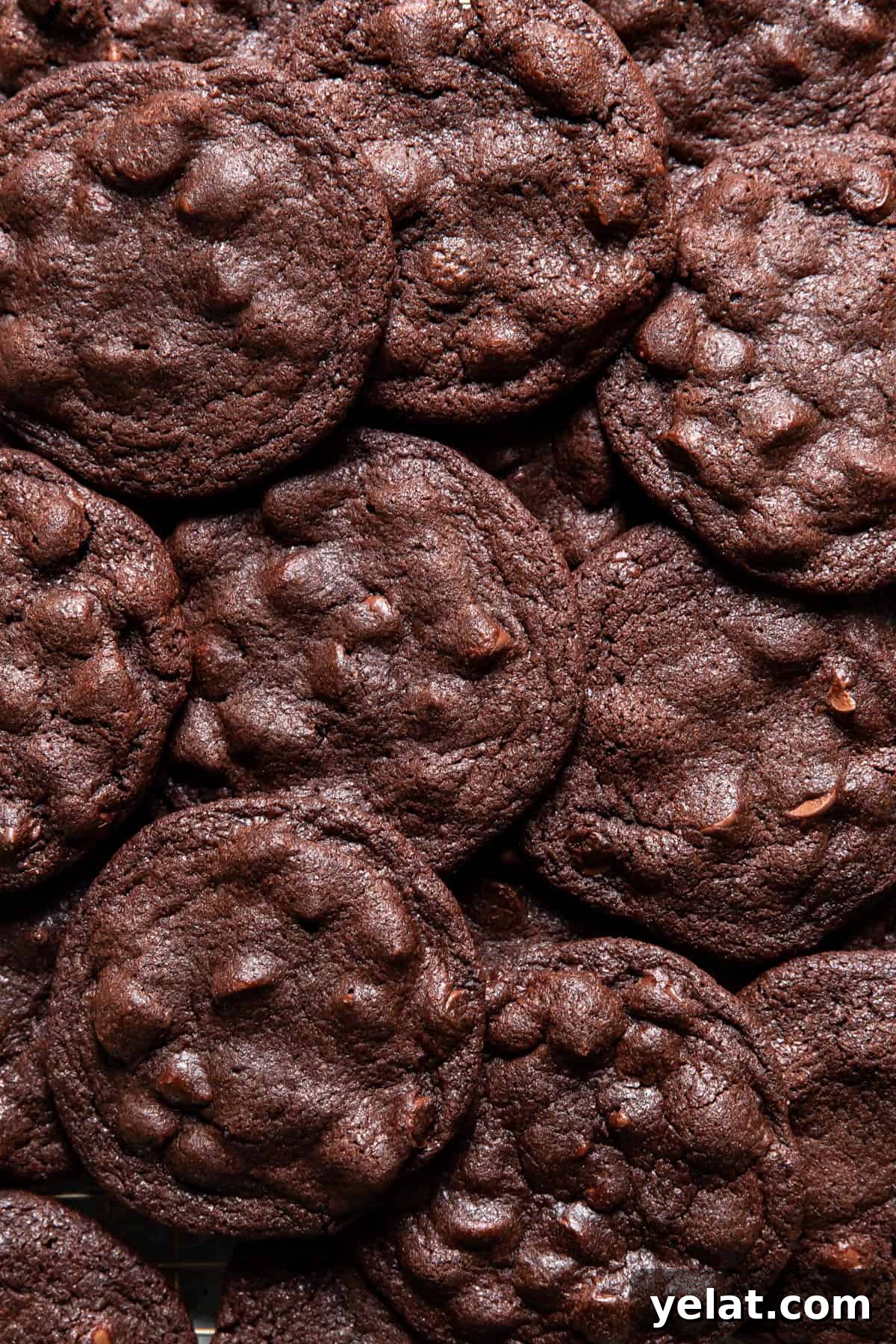 Double Chocolate Cookies: Rich Gooey Chocolate Cookie Recipe 3 chocolate cookies.