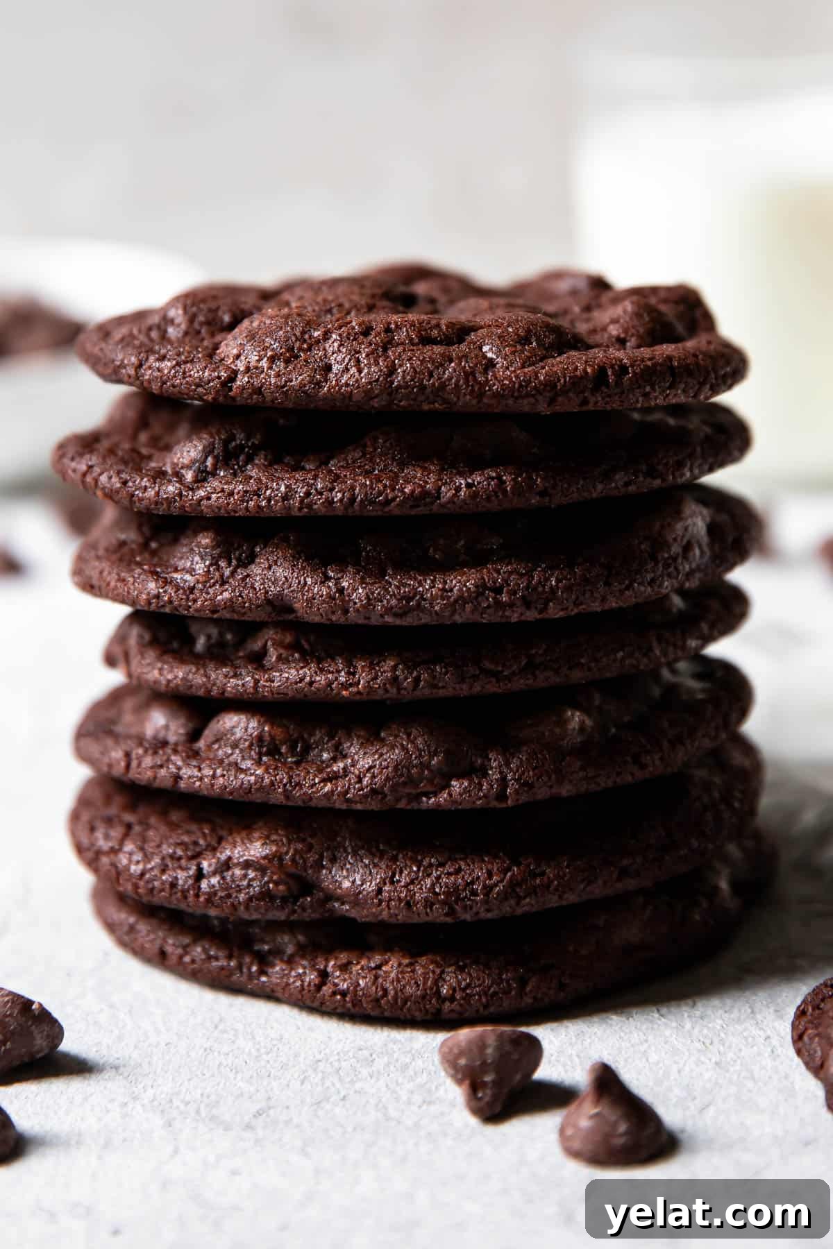Double Chocolate Cookies: Rich Gooey Chocolate Cookie Recipe 4 chocolate cookies.