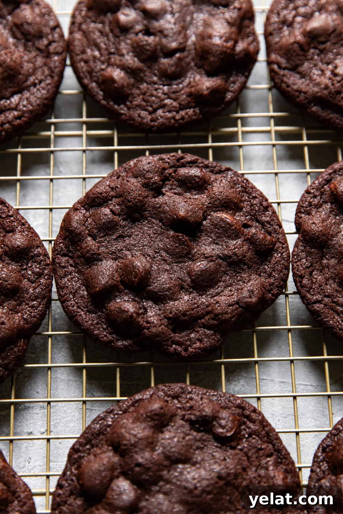 Double Chocolate Cookies: Rich Gooey Chocolate Cookie Recipe 5 chocolate cookies.