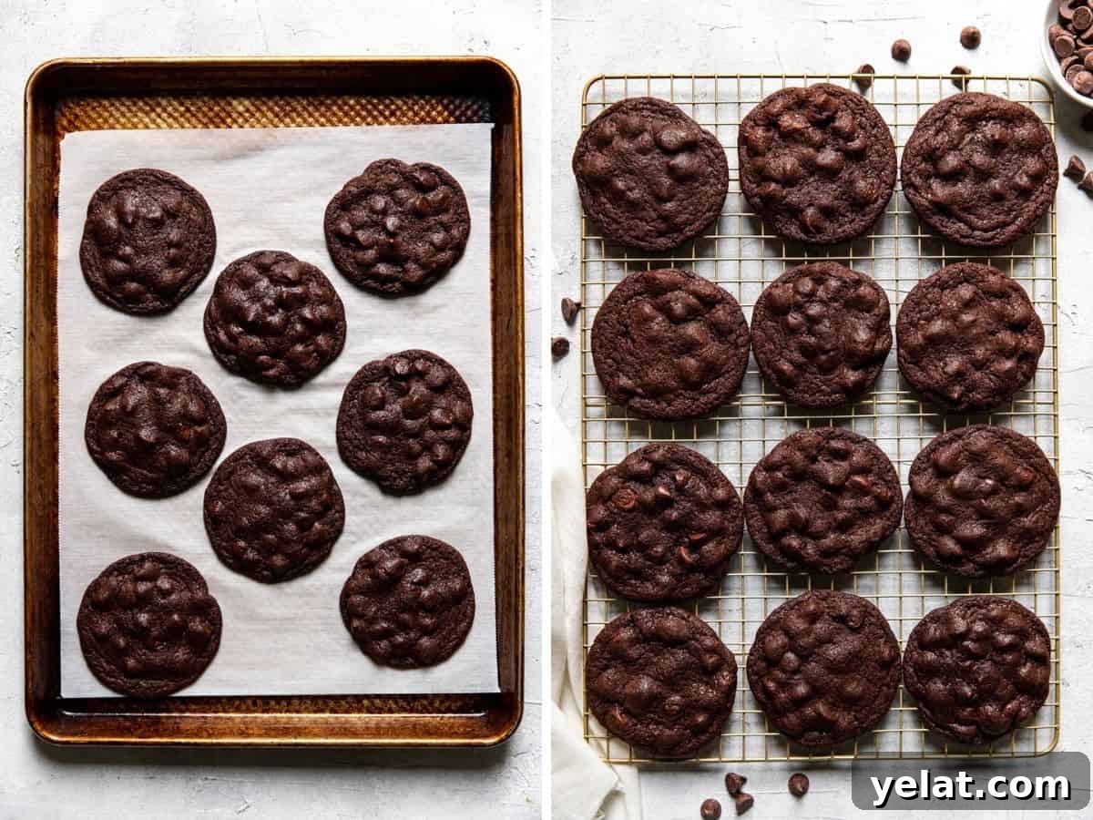 Double Chocolate Cookies: Rich Gooey Chocolate Cookie Recipe 8 collage of chocolate cookies after being baked then on a wire cooling rack.