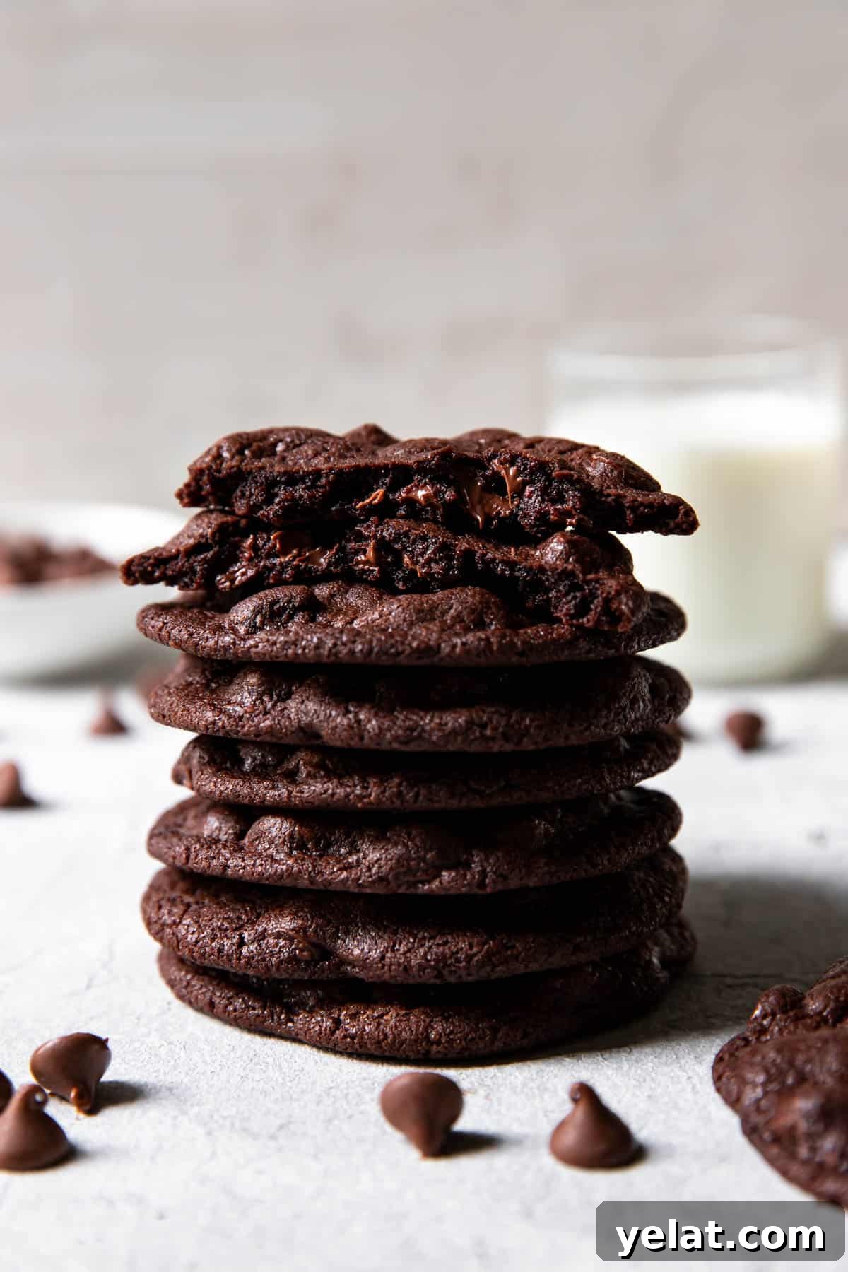 Double Chocolate Cookies: Rich Gooey Chocolate Cookie Recipe 9 chocolate cookies.