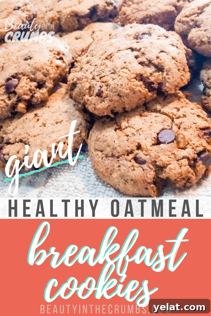 Filling Gluten-Free Breakfast Cookies for Busy Mornings 2 I need a quick and filling breakfast. These breakfast cookies are just that! They're made with soaked oatmeal and are a healthy way to start your day! These breakfast cookies are also gluten free, dairy free, and vegan. #easybreakfast #glutenfreebreakfast #glutenfreebreakfastcookies #veganbreakfast #dairyfreebreakfast
