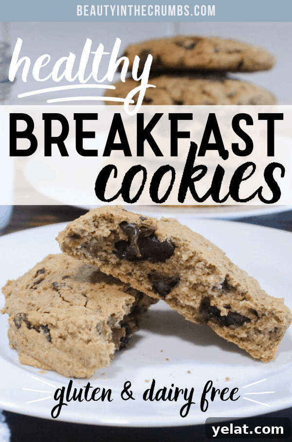 Filling Gluten-Free Breakfast Cookies for Busy Mornings 4 Healthy breakfast cookie recipe