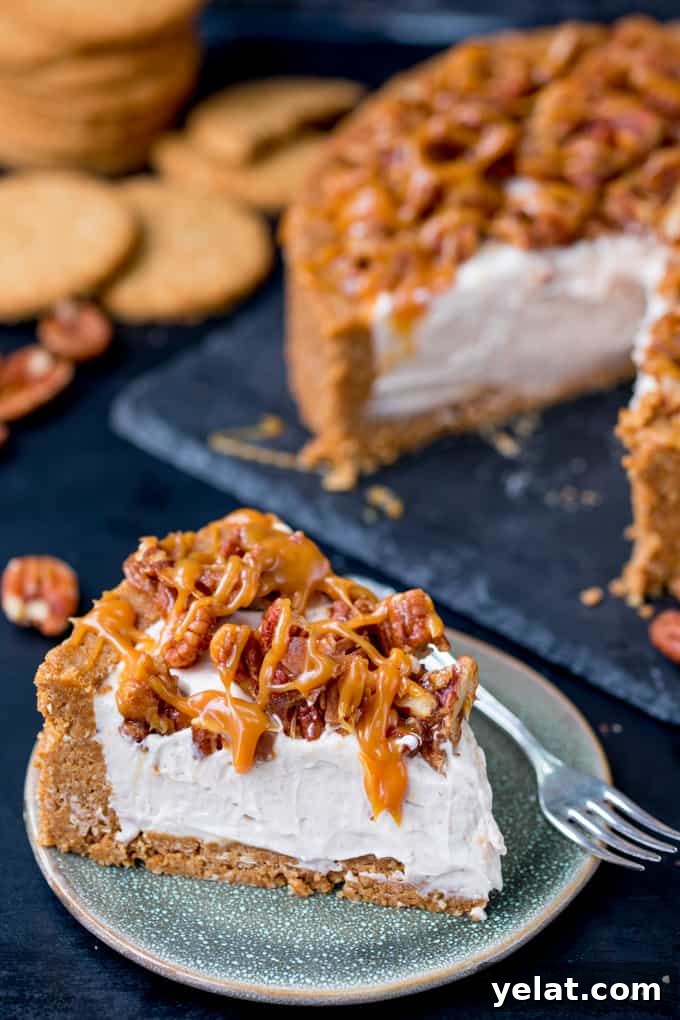 This Winter Spiced Pecan Caramel Cheesecake is an ideal dish for a celebration party table! It's also make ahead, no bake and gluten free!