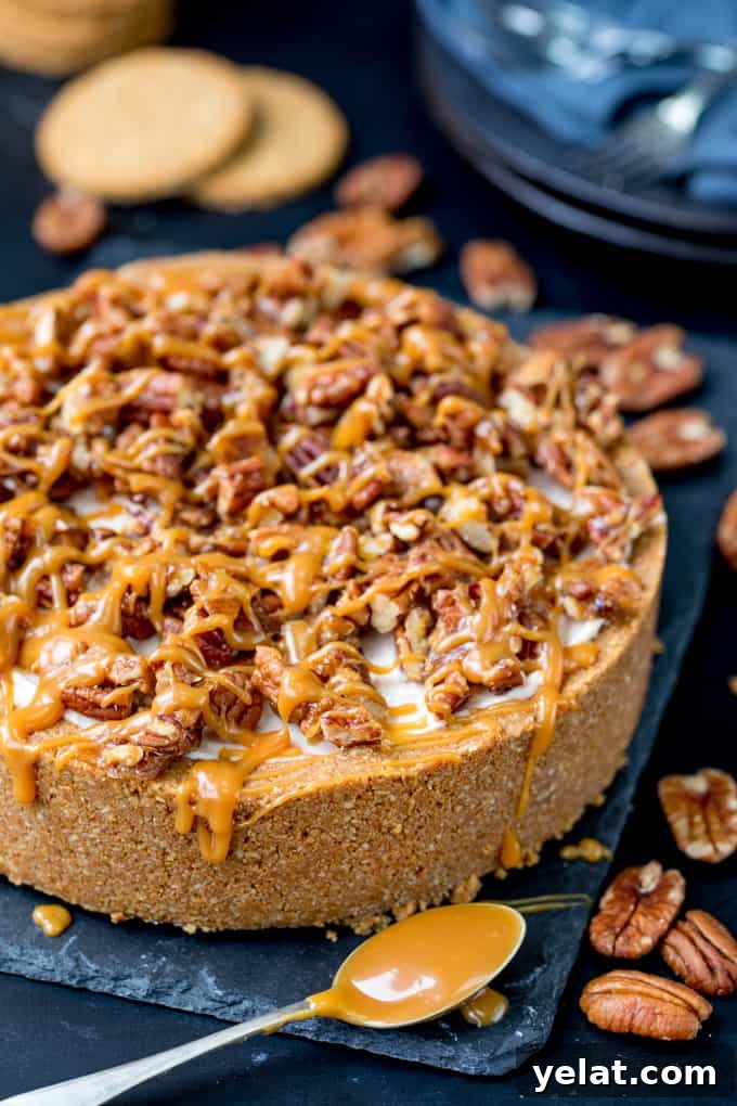 This Winter Spiced Pecan Caramel Cheesecake is an ideal dish for a celebration party table! It's also make ahead, no bake and gluten free!