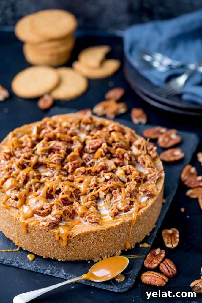 This Winter Spiced Pecan Caramel Cheesecake is an ideal dish for a celebration party table! It's also make ahead, no bake and gluten free!