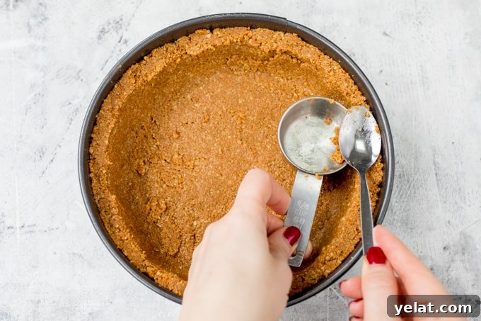 This Winter Spiced Pecan Caramel Cheesecake is an ideal dish for a celebration party table! It's also make ahead, no bake and gluten free!