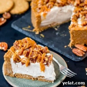 This Winter Spiced Pecan Caramel Cheesecake is an ideal dish for a celebration party table! It's also make ahead, no bake and gluten free!