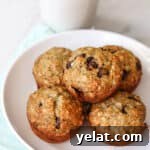 25 Sourdough Breakfast Ideas: 25+ Recipes for Morning Bread Dishes 15 A plate with sourdough banana oat muffins with chocolate chips.