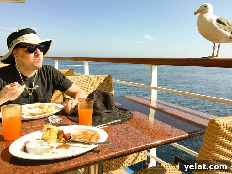 How Getting Injured on My First Carnival Cruise Changed My Trip 6 Carnival Inspiration Cruise